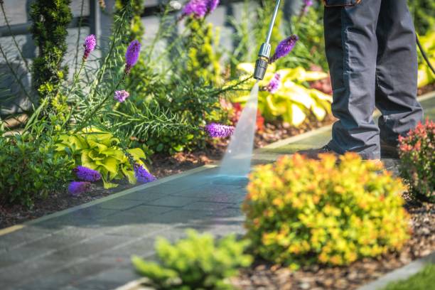 Best Winterizing Services  in St Helen, MI