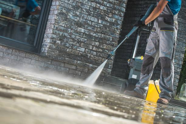 Best Boat and Dock Cleaning  in St Helen, MI