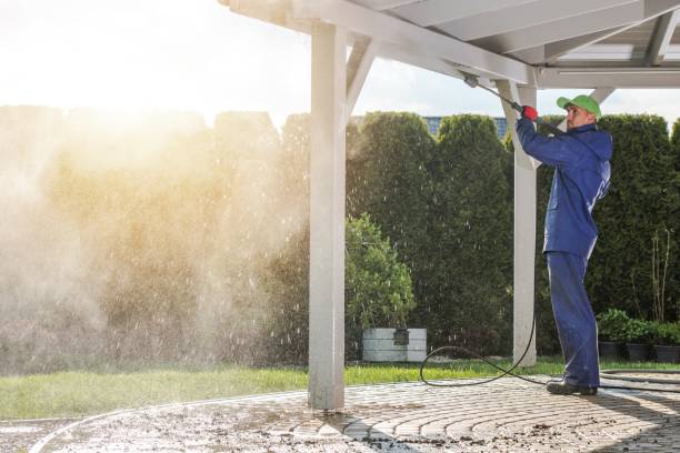 Best Warehouse Cleaning  in St Helen, MI