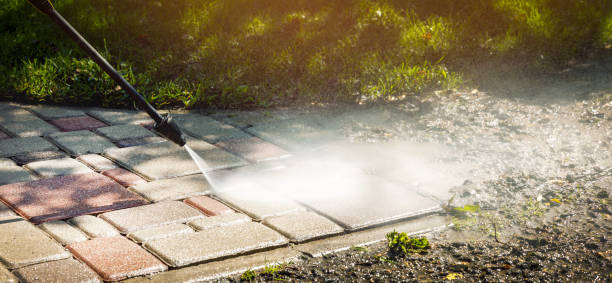 Best House Exterior Washing  in St Helen, MI